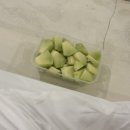 Bail_Maja Canggu 발리 마자짱구 숙소후기
