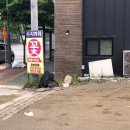 수지화훼(성복동 359-1)