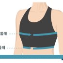 몬스터비 이미지