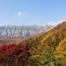 서부제일카 이미지