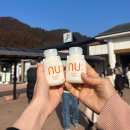 1524 | [일본🇯🇵] 후쿠오카 소도시 유후인/벳푸/히타 버스 일일 투어 추천 및 솔직 후기