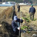 지사정비 이미지