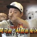 부산 당일치기는 만보기를 찢어