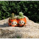 노무현대통령생가 이미지