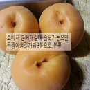 이재익 농장 이미지