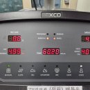 30대 PD 직장인의 2025년 11월 일상 기록 브이로그