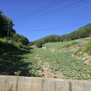 민둥산 850 전망대 이미지