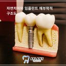 에이플란트치과의원 이미지