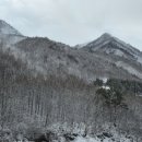 수하리 이미지