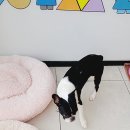 덕구놀이터 이미지