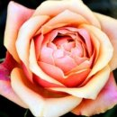 세븐일레븐 울산동진점 이미지