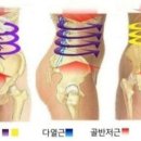 짐쉐이프 이미지