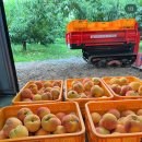 강가 | 발리에서 생긴일 - 16. 동부투어(렘푸양 사원, 라항안 스위트, 띠르따 강가) 후기