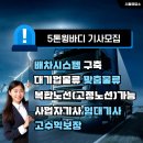 금룡 티스토리