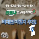 도락 이미지