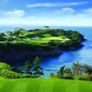 파인비치A 이미지