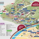 2023 부여 백제문화제 축제 대백제전, 백제문화단지 야간개장 다녀온 후기