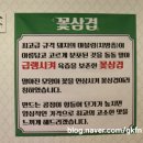 쌍팔련도 이미지