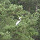 모곡마을 이미지