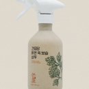 견묘당