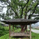 양평 물소리길 6코스_25년 7월 산행후기(2) 이미지