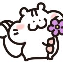 연세리즈의원 이미지