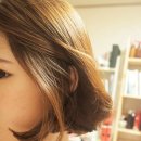 스타일러 H
