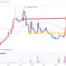 (주)금강트레이딩 네이버블로그