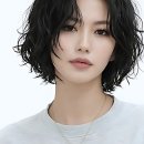 댕댕이묭실 | 묭실 유목민 탈출! 인생 머리 찾으러 리안헤어 찐후기 갑니다