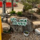 오토코트 | 김천실내테니스장&amp;김천오토캠핑장 후기