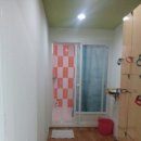 리얼복싱 이미지