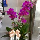 서울축산업협동조합 사료사업본부 이미지