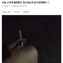 카페돌핀 이미지