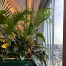 티팰리스 이미지