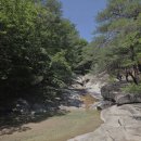 제134회차. 8월. 정기산행. 문경. 선유동천나들길 이미지