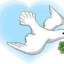 꿈 그리고 희망 이미지