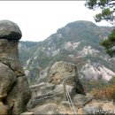 제128회 2009년 6월 정기 산행안내 동,작성 산(896.2m) 이미지