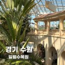 일월수목원 | 수원 가볼만한 곳 추천, 초록 감성 가득했던 나들이 후기