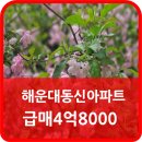 해운수영장 이미지