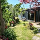 위미쉼팡 이미지