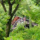 자연속에영농조합법인 이미지