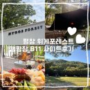 평창 캠핑장 휘게포레스트 2박3일 후기 | B11 주차장...매너타임, 횡계유명통닭, 덕희상회, 샤워실, 편의동