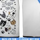 패밀리캣 이미지