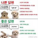 우리 집에 물 없는데 토너 마셔도 됨?