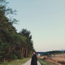 툇마루 이미지