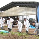 정승농장 이미지