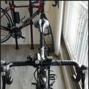 오싸이언스 이미지