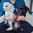 계곡여행 이미지