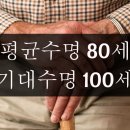 뇌건강지도사 양성과정 네이버블로그