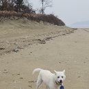 썬셋스테이앤그릴 이미지